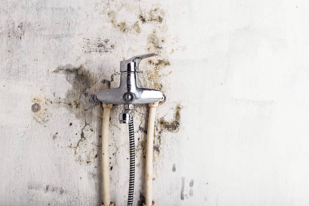 Best Water Damage Restoration  in Rolling Fork, MS