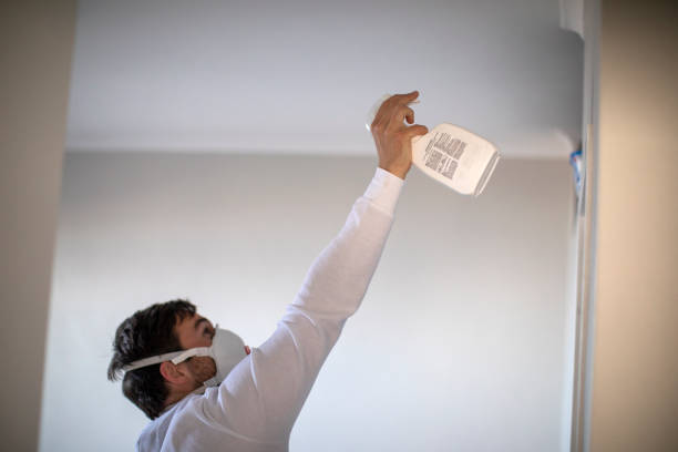 Best Emergency Mold Removal  in Rolling Fork, MS