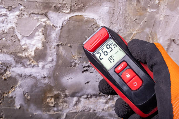 Best Affordable Mold Removal  in Rolling Fork, MS