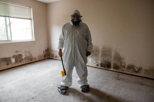 Best Toxic Mold Removal  in Rolling Fork, MS
